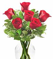 FTD Simply Enchanting Rose Bouquet