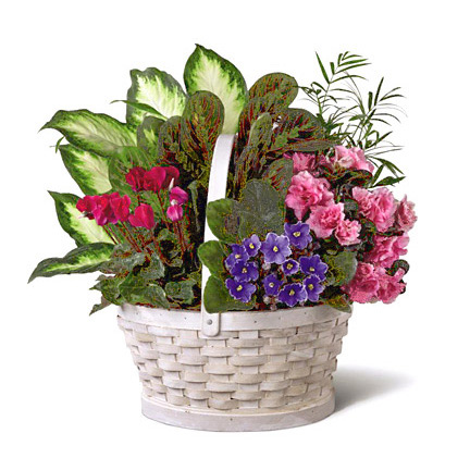 fTD Peaceful Garden Planter