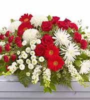 Strength and Wisdom Casket Spray