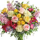 Goodness and Light Premium