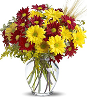 Fall Daisies Bouquet